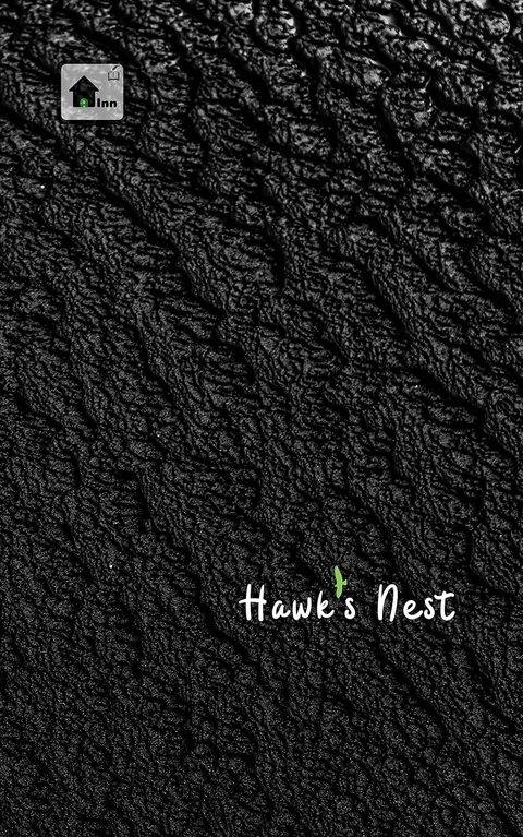 Hawk's Nest book cover